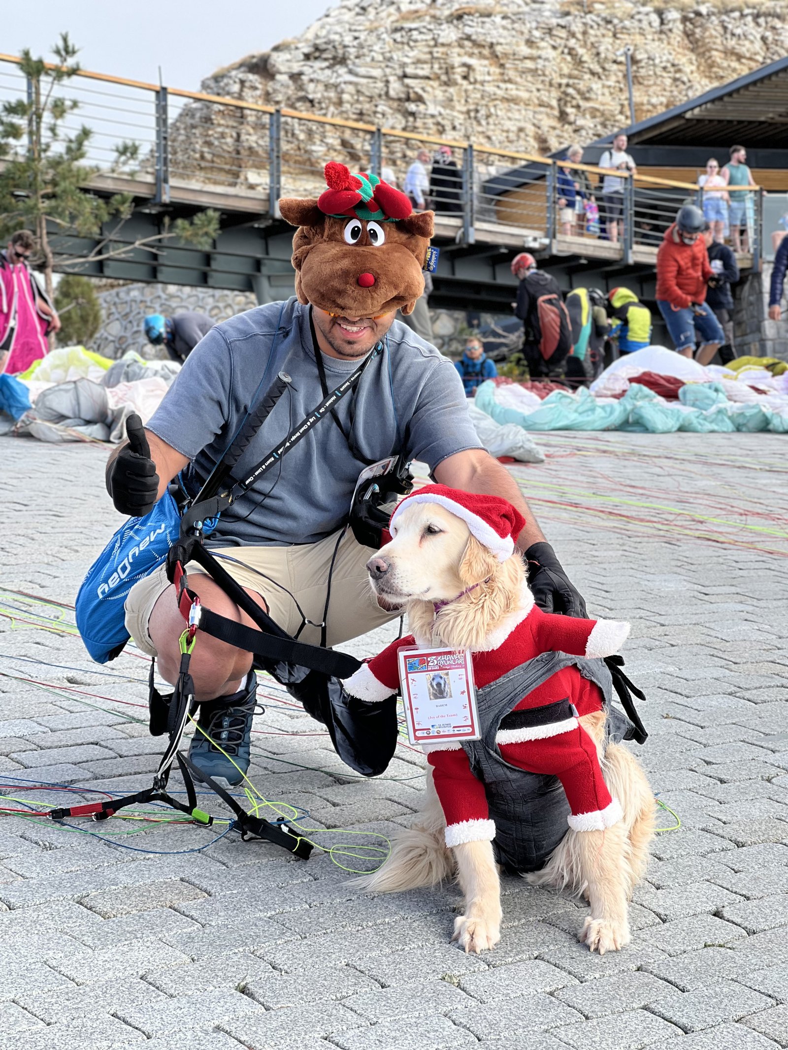 Badem — paraşüt ekipmanlı Golden Retriever yardımcı pilot